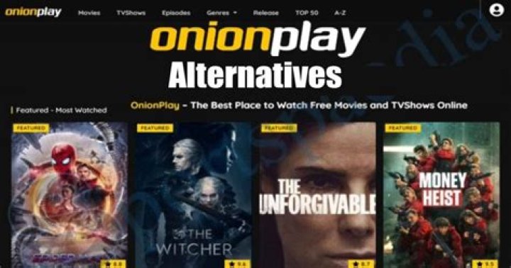 Beginner's Guide to Maximizing Your OnionPlay Movie Streaming Experience