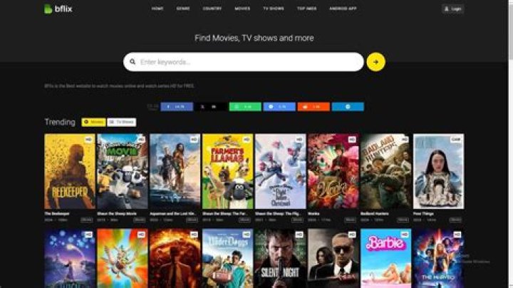 How to Find Hidden Gems in Movie Streaming on Braflix