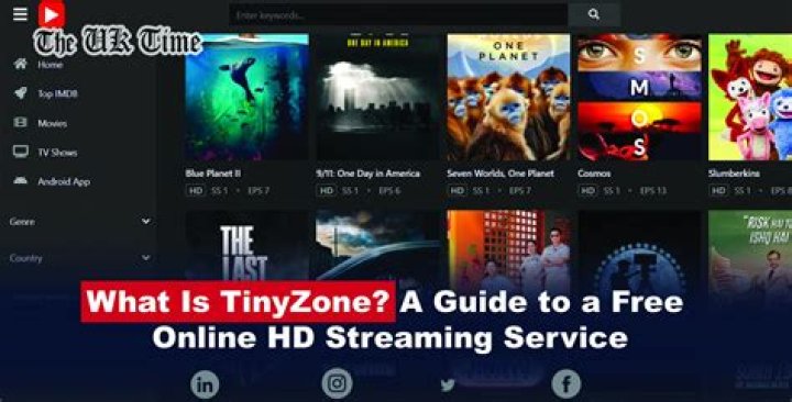 TinyZone vs. Other Streaming Sites: Why It Wins for Free Entertainment